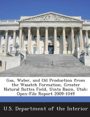 Gas, Water, and Oil Production from the Wasatch Formation, Greater Natural Buttes Field, Uinta Basin, Utah: Open-File Report 2009-1049 - U S Department of the Interior, United (Creator), and Nelson, Philip H, and Hoffman, Eric L