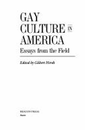 Gay Culture in America: Essays from the Field