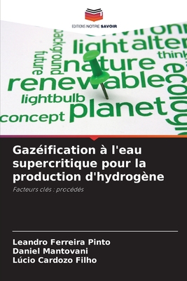 Gazification  l'eau supercritique pour la production d'hydrogne - Ferreira Pinto, Leandro, and Mantovani, Daniel, and Cardozo Filho, Lcio