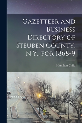 Gazetteer and Business Directory of Steuben County, N.Y., for 1868-9 - Child, Hamilton B 1836 (Creator)