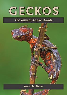 Geckos: The Animal Answer Guide - Bauer, Aaron M