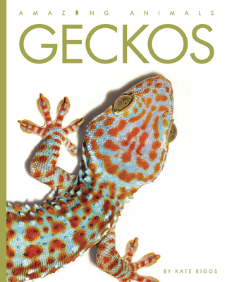 Geckos - Riggs, Kate