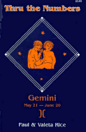 Gemini Through Numbers