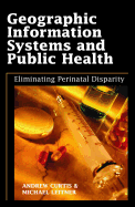 Geographic Information Systems and Public Health: Eliminating Perinatal Disparity