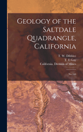Geology of the Saltdale Quadrangle, California: No.160