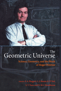 Geometric Universe C