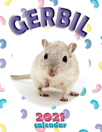 Gerbil 2021 Calendar