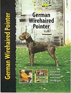 German Wirehaired Pointer