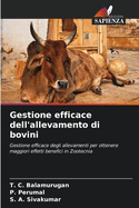 Gestione efficace dell'allevamento di bovini