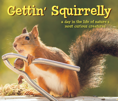 Gettin Squirrelly Hardcover Gift Book - Willow Creek Press (Photographer)