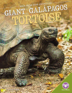 Giant Gal?pagos Tortoise