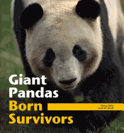 Giant Pandas: Born Survivors