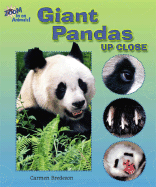 Giant Pandas Up Close
