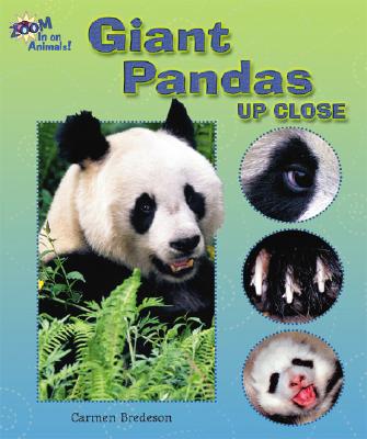 Giant Pandas Up Close - Bredeson, Carmen