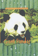 Giant Pandas - Scheff, Duncan