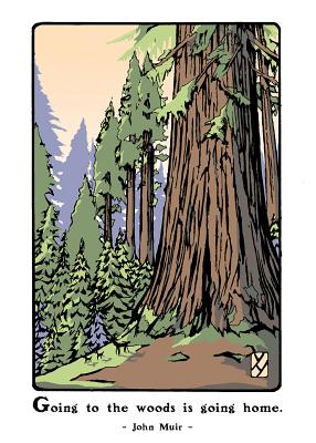 Giant Sequoia (Boxed): Boxed Set of 6 Cards - Smith, Bruce, and Yamamoto, Yoshiko