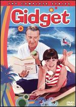 Gidget: The Complete Series [4 Discs]