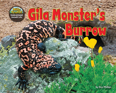 Gila Monster's Burrow