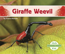 Giraffe Weevil