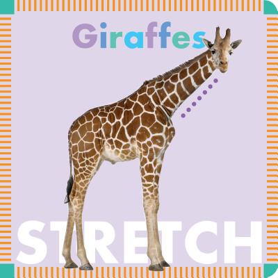 Giraffes Stretch - Glaser, Rebecca