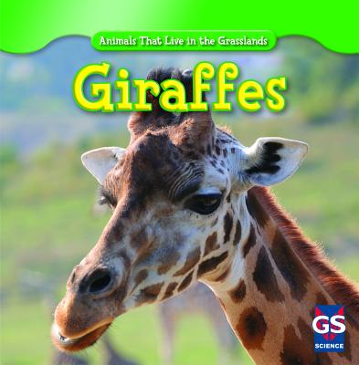 Giraffes - Shea, Mary Molly