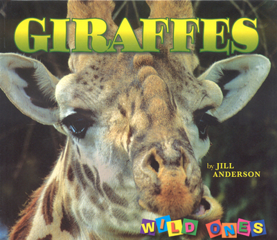 Giraffes - Anderson, Jill