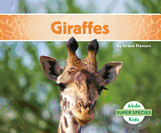 Giraffes