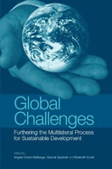 Global Challenges: Furthering the Multilateral Process for Sustainable Development