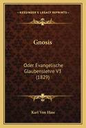 Gnosis: Oder Evangelische Glaubenslehre V3 (1829)
