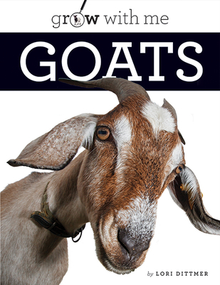 Goats - Dittmer, Lori