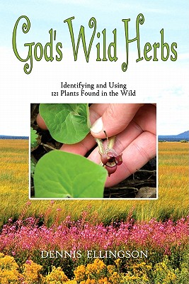 God's Wild Herbs: Identifying and Using 121 Plants Found in the Wild - Ellingson, Dennis