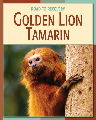 Golden Lion Tamarin - Somervill, Barbara A, and Kleiman, Devra G (Consultant editor)