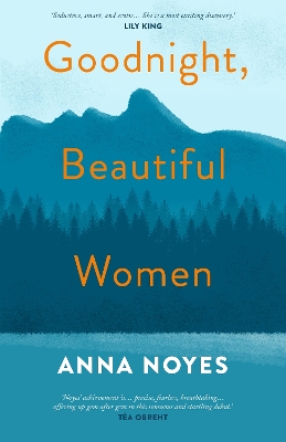 Goodnight, Beautiful Women: a powerful collection of short stories about the women of a small town in Maine - Noyes, Anna