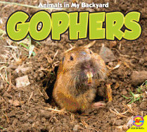 Gophers