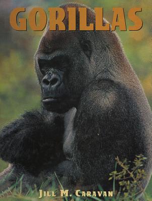 Gorillas - Caravan, Jill M