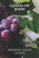 Gospel of John Volume 1