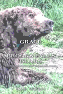 Grace and Brooks Falls Bears: Raising Awareness and Preservation Funds