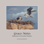 Grace Notes: Reflections on Everyday Wonders