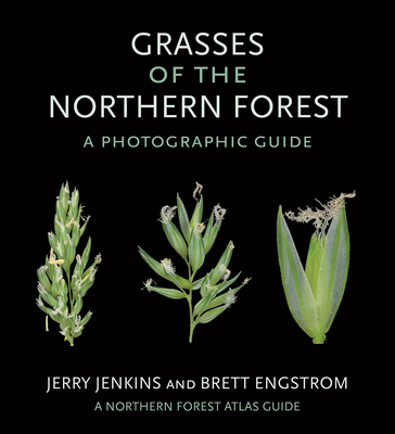 Grasses of the Northern Forest: A Photographic Guide - Jenkins, Jerry, and Engstrom, Brett