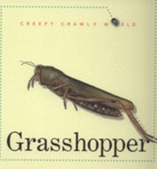 Grasshopper