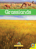 Grasslands with Code