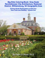 Gray Scale Revolutionary City Architecture Restored District, Williamsburg, Va Geographic Area: Photographs to Add Your Own Color and Shading - Volume One