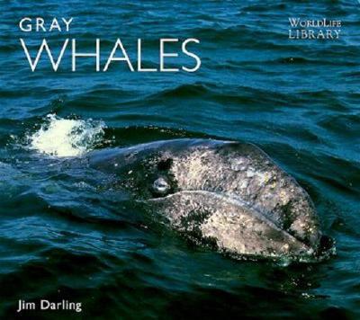 Gray Whales - Darling, James David, and Darling, Jim