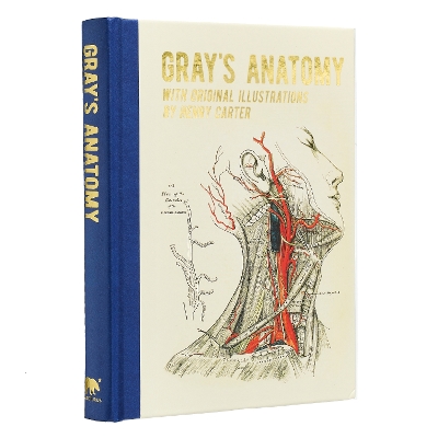 Gray's Anatomy: With Original Illustrations by Henry Carter - Gray, Henry, and Davidson, George (Introduction by)