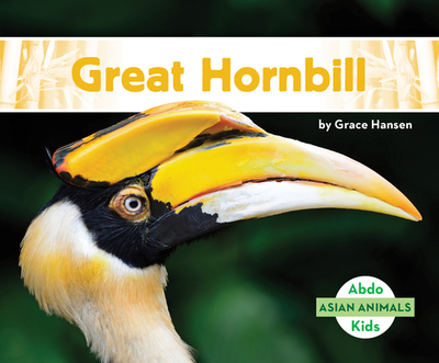 Great Hornbill - Hansen, Grace