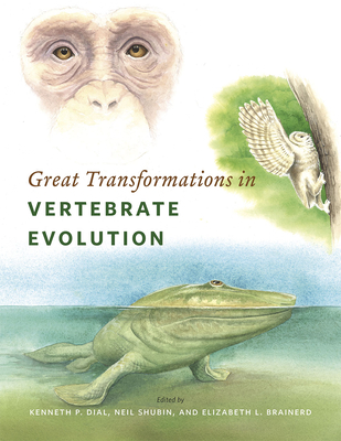 Great Transformations in Vertebrate Evolution - Dial, Kenneth P (Editor)