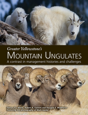 Greater Yellowstone's Mountain Ungulates: A Contrast in Management Histories and Challenges: A - White, P J (Editor), and Garrott, Robert A (Editor), and McWhirter, Douglas E (Editor)
