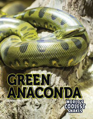 Green Anaconda - Canasi, Brittany