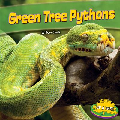 Green Tree Pythons - Clark, Willow