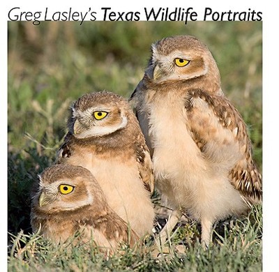 Greg Lasley's Texas Wildlife Portraits, 42 - Lasley, Greg W, and Tveten, John L (Introduction by), and Tveten, Gloria (Introduction by)